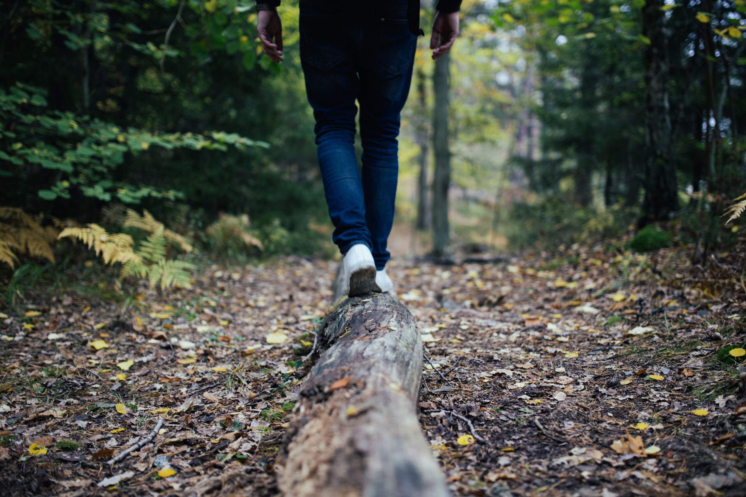 Wonderful Walking